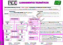 Sistema telemático